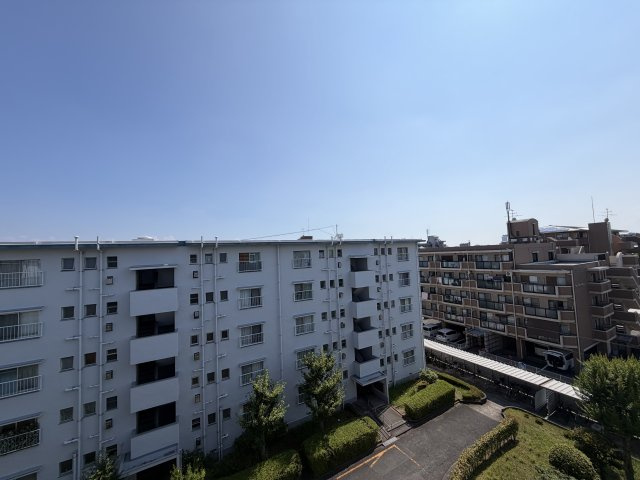 展望