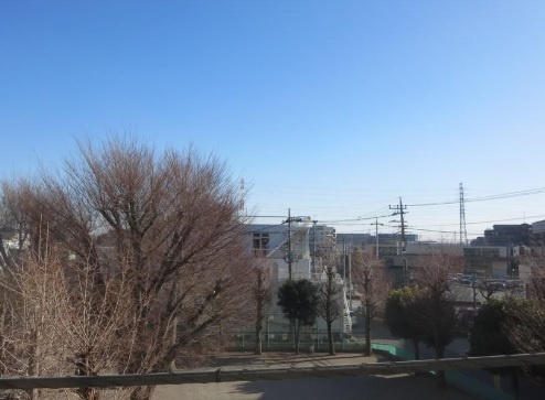 展望