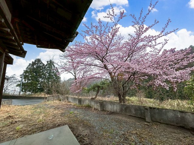 伝統的な軒先から見上げる、満開の桜。青空と新緑に映えるピンクのコントラストは、この場所だけの特別な光景です。自然と歴史が調和する、静かで豊かな時間を提供します。
