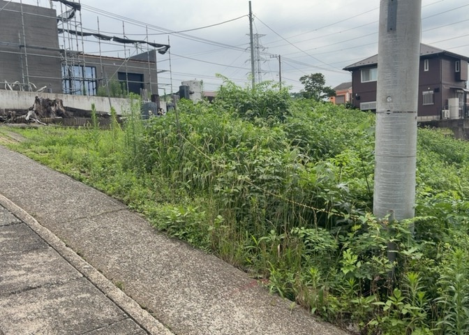 外観：314002784606