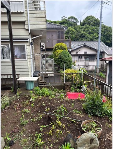 庭