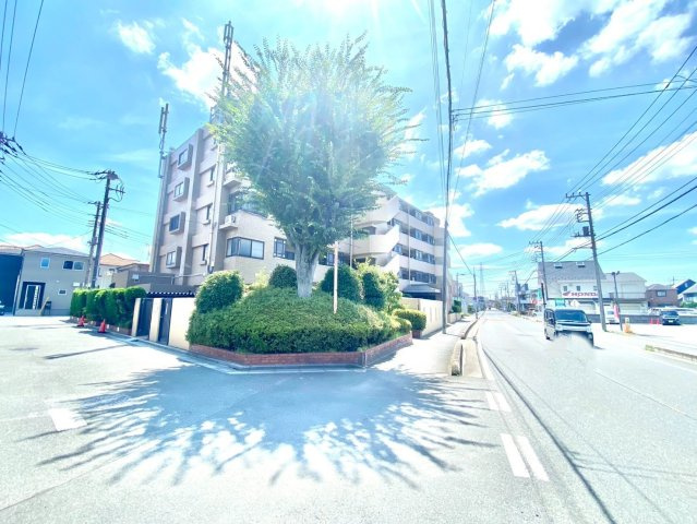八潮シャンピュア