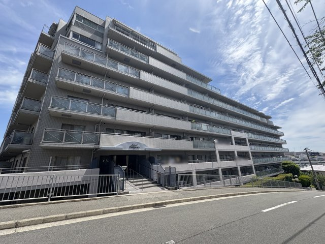 外観：328000618151