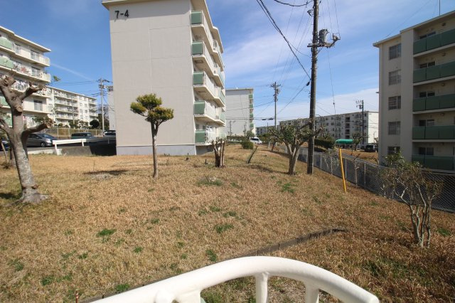 展望
