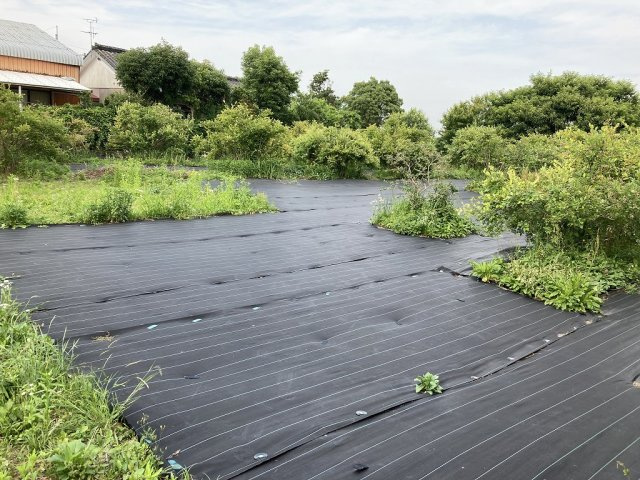 外観：346000012116