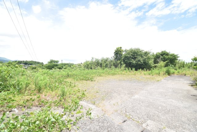 外観：346000011513