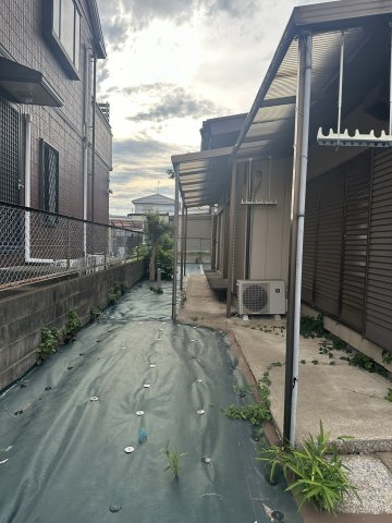 庭
