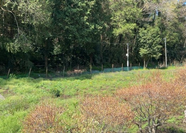 外観：314002684793