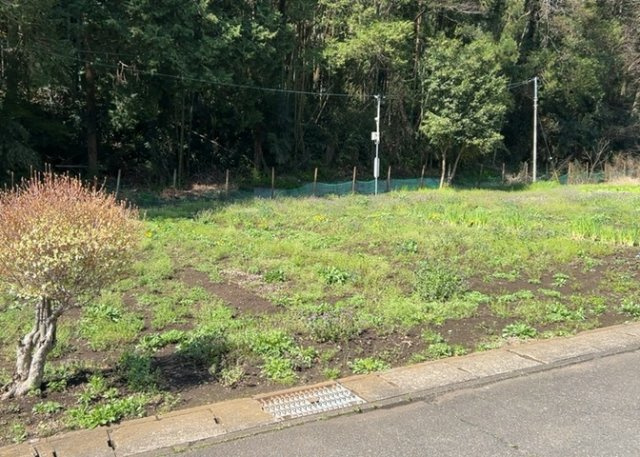 現地に行くなら、物件の周囲の地形がどうなっているかを見ることも大切です。周辺より低くなっている土地では、大雨などで水が集まりやすいため、地盤が弱くなっているということも考えられるため、注意が必要です。
