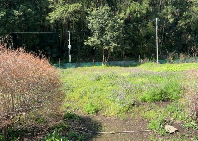 家を建てる前提で土地を探している場合、地盤の丈夫さは譲れない条件の一つです。地盤が脆弱だと追加工事が必要となります。また、過去に地盤沈下や液状化現象を起こした土地は、できるだけ避けた方がいいでしょう。