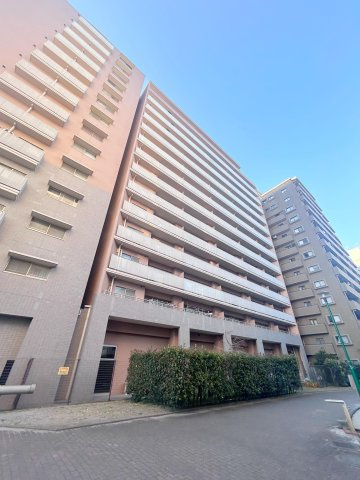 外観：313004663424