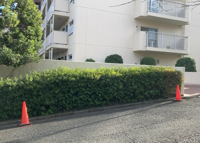 外観：313004576280