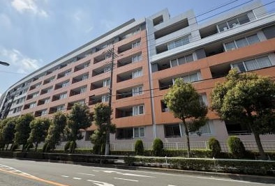 外観：313004946738