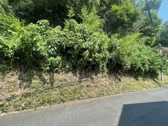 市街化調整区域とは、自然環境を保つことが目的になっている地域で住宅用地として購入することはほぼ出来ません。事業用や資材置き場などその場所を有効活用したい方にお勧めです。田園地帯や自然が多いエリアです。