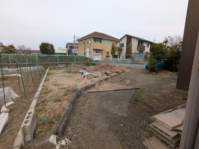 庭