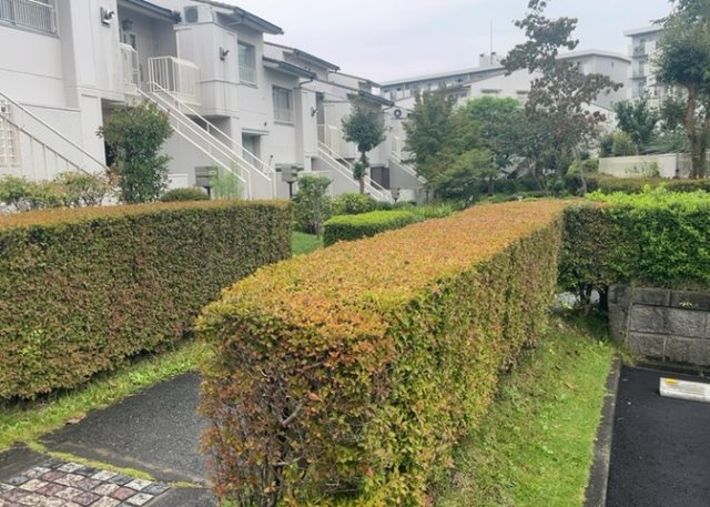 物件によっては、入居者が個人的に使用できる専用庭がついているものもあります。また、住宅の中にある土間の部分を庭と呼ぶこともあります。庭の用途は住む人によって変わり、それによってデザインもさまざまです。