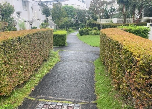 中庭（パティオ）とは、一つの建築物の内部に設けられた、壁などで囲われている庭のことを指します。コの字型、ロの字型が主流ですが、L字型の中庭もあります。最近では、インテリア性の高さからも人気があります。