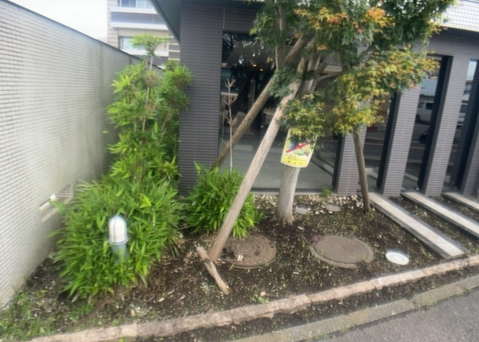 物件によっては、入居者が個人的に使用できる専用庭がついているものもあります。また、住宅の中にある土間の部分を庭と呼ぶこともあります。庭の用途は住む人によって変わり、それによってデザインもさまざまです。