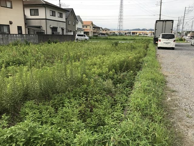 外観：309000088585