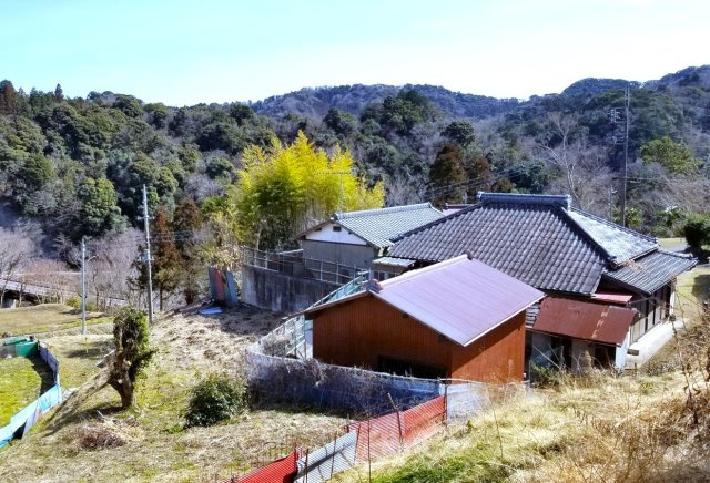 外観：312001173765