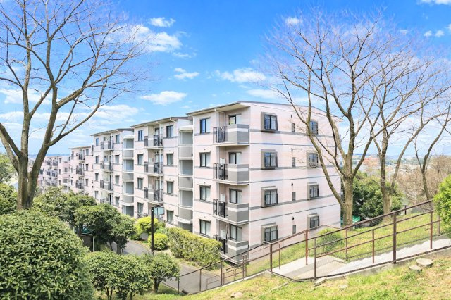 外観：314002674529