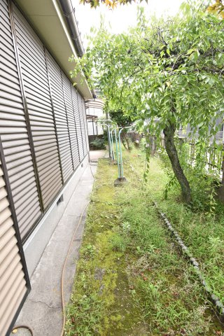 庭