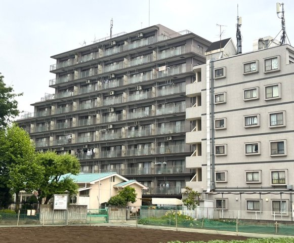 外観：311002404000