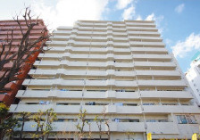 外観：313004667644