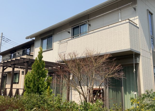 外観：313004288948