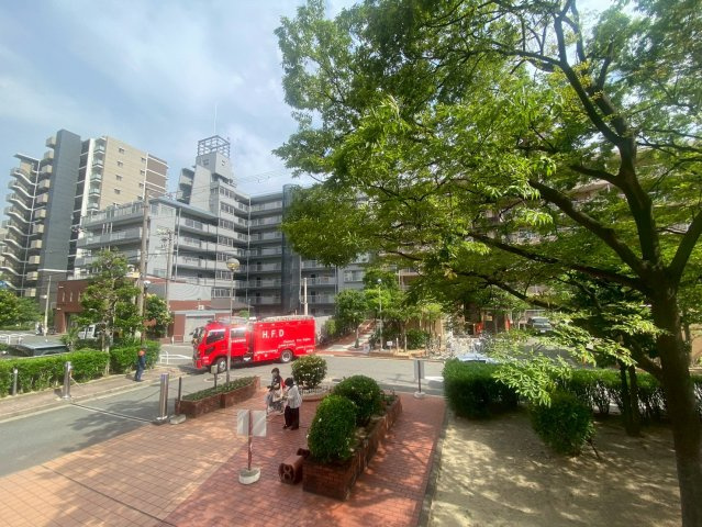 展望
