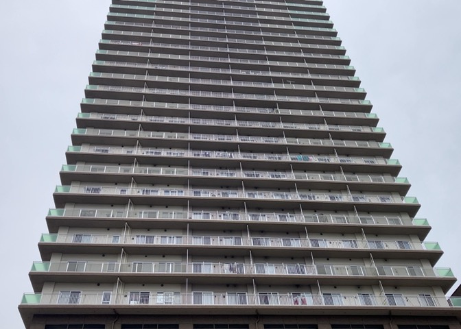 外観：313004651060