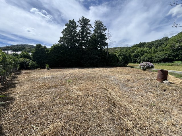 外観：308000175171