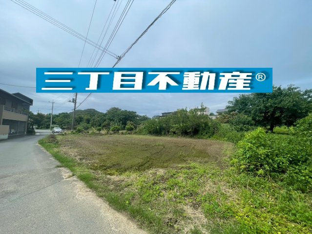 外観：311002496563