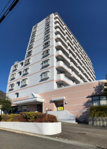 外観：325000119463