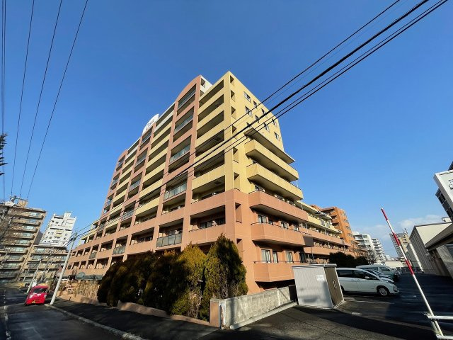 外観：301000099785