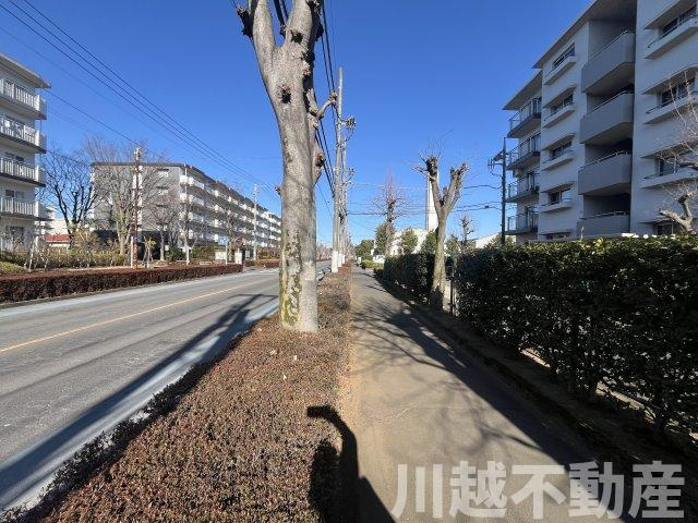 前面道路から見た物件