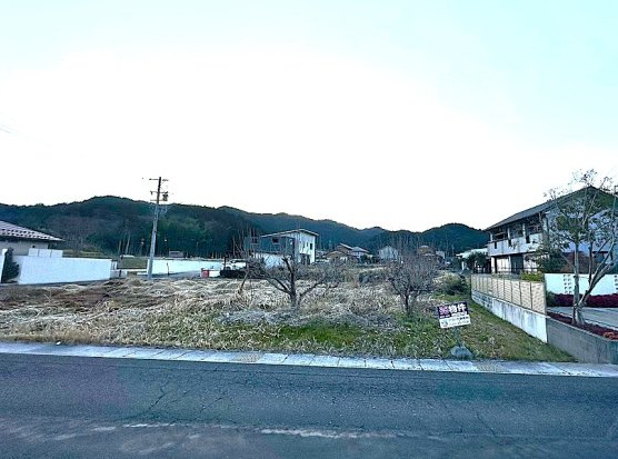 外観：321000078024