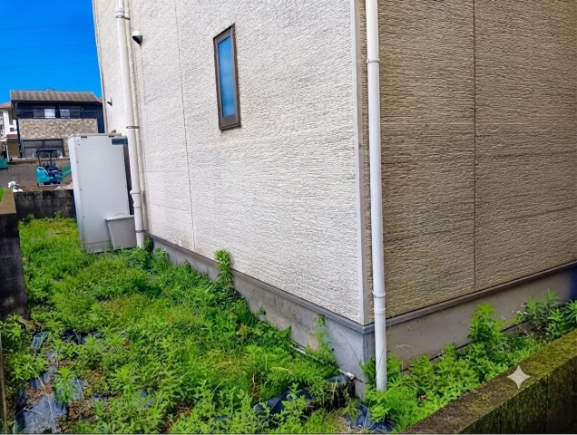 建物の裏側部分