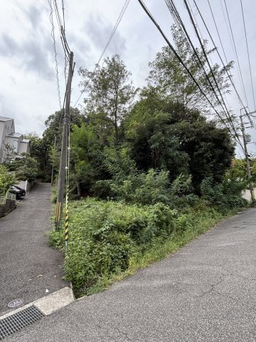 北側からの写真です