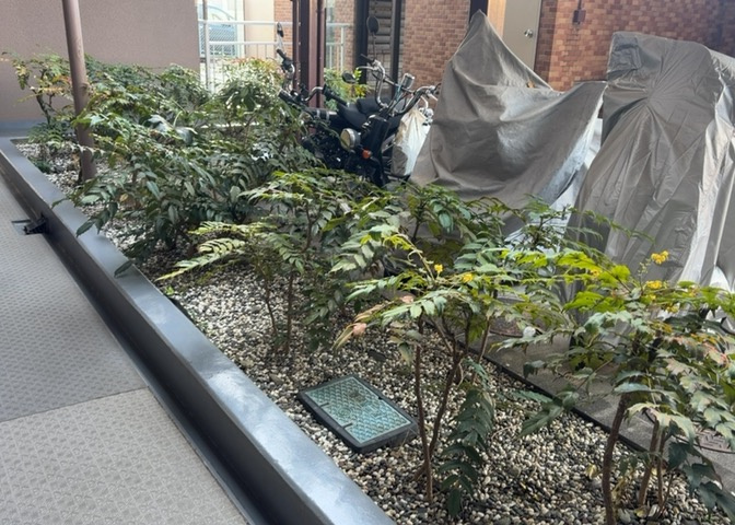 中庭（パティオ）とは、一つの建築物の内部に設けられた、壁などで囲われている庭のことを指します。コの字型、ロの字型が主流ですが、L字型の中庭もあります。最近では、インテリア性の高さからも人気があります。