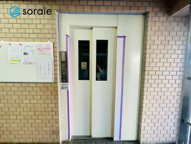 1月26日撮影