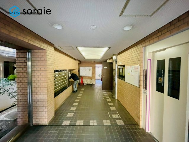 1月26日撮影