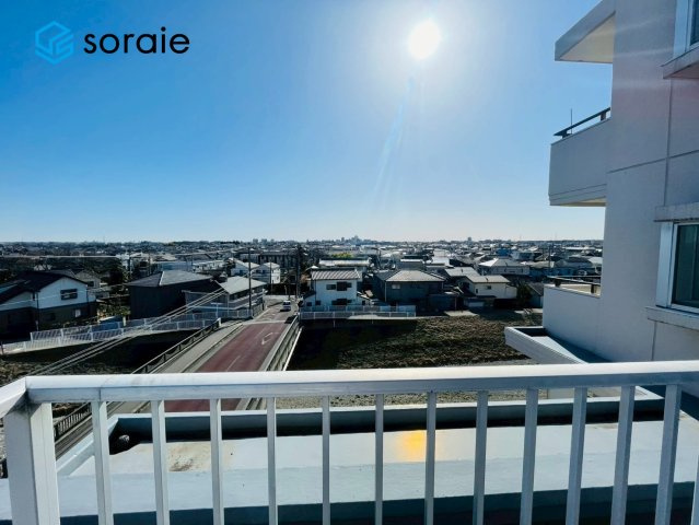 1月26日撮影