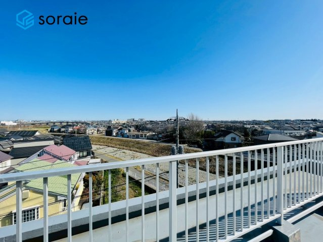 1月26日撮影