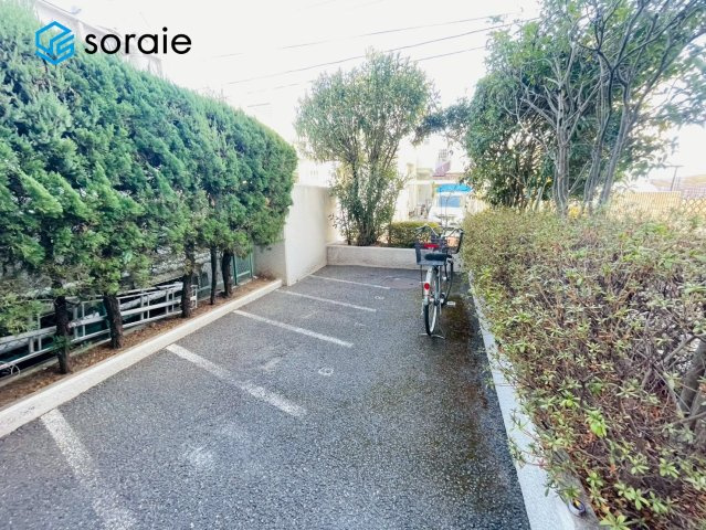1月26日撮影