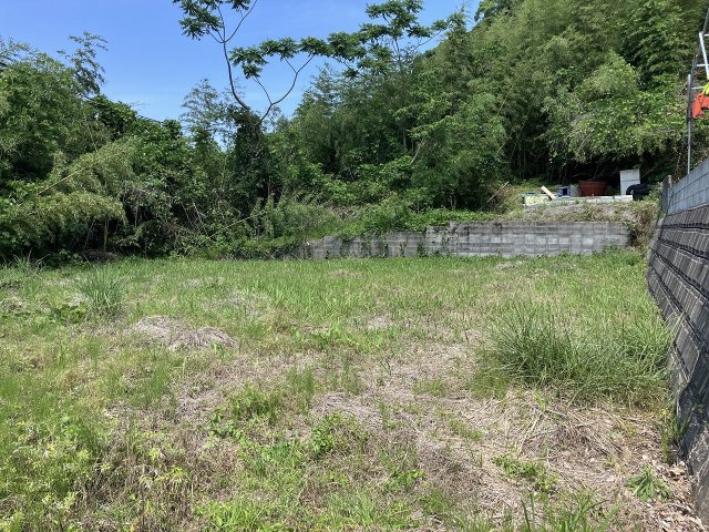 外観：346000037285