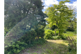 横手市羽黒町売地の外観