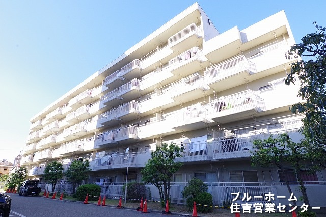 外観：327002185466