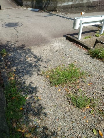 道路東側5ｍ