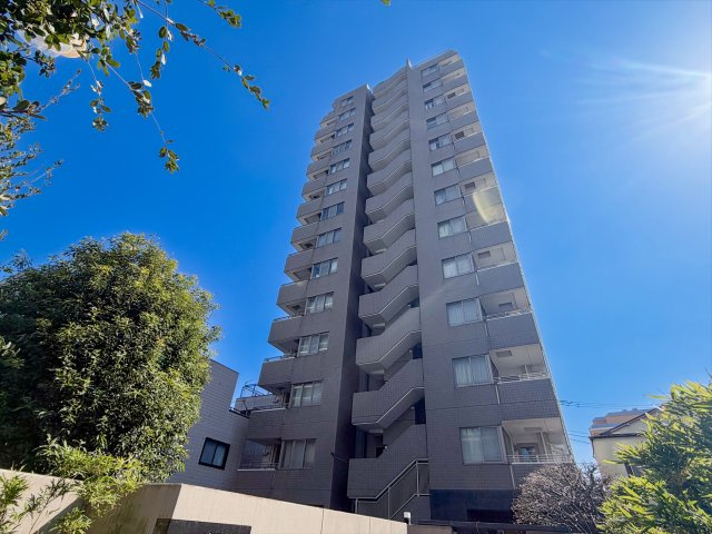 外観：313004665365